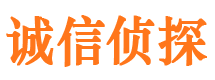 确山调查公司